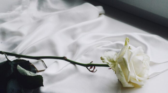 Refreshing Your Home for Summer Refreshing Your Home for Summer